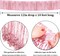 4 Pack Total 40 Feet Foil Fringe Garland Metallic Tinsel Banner Wall Hanging Drapes Parade Float Skirting Decorations for Trailer Mardi Gras Party Birthday Wedding (Iridescent Pink)